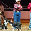 Gin in top 15 at World Stockdog Championship - Calgary Stampede
These Finals also allowed her to win the 2011 Triple Crown